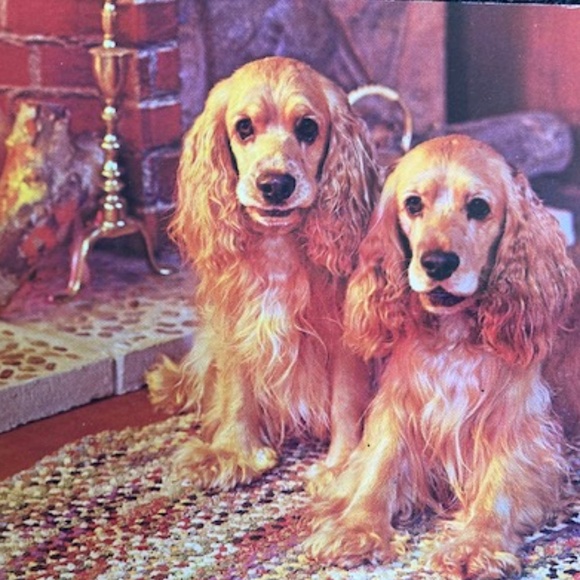 Jan Hagara 1986 Limited Edition Porcelain Bell - Picture 11 of 11